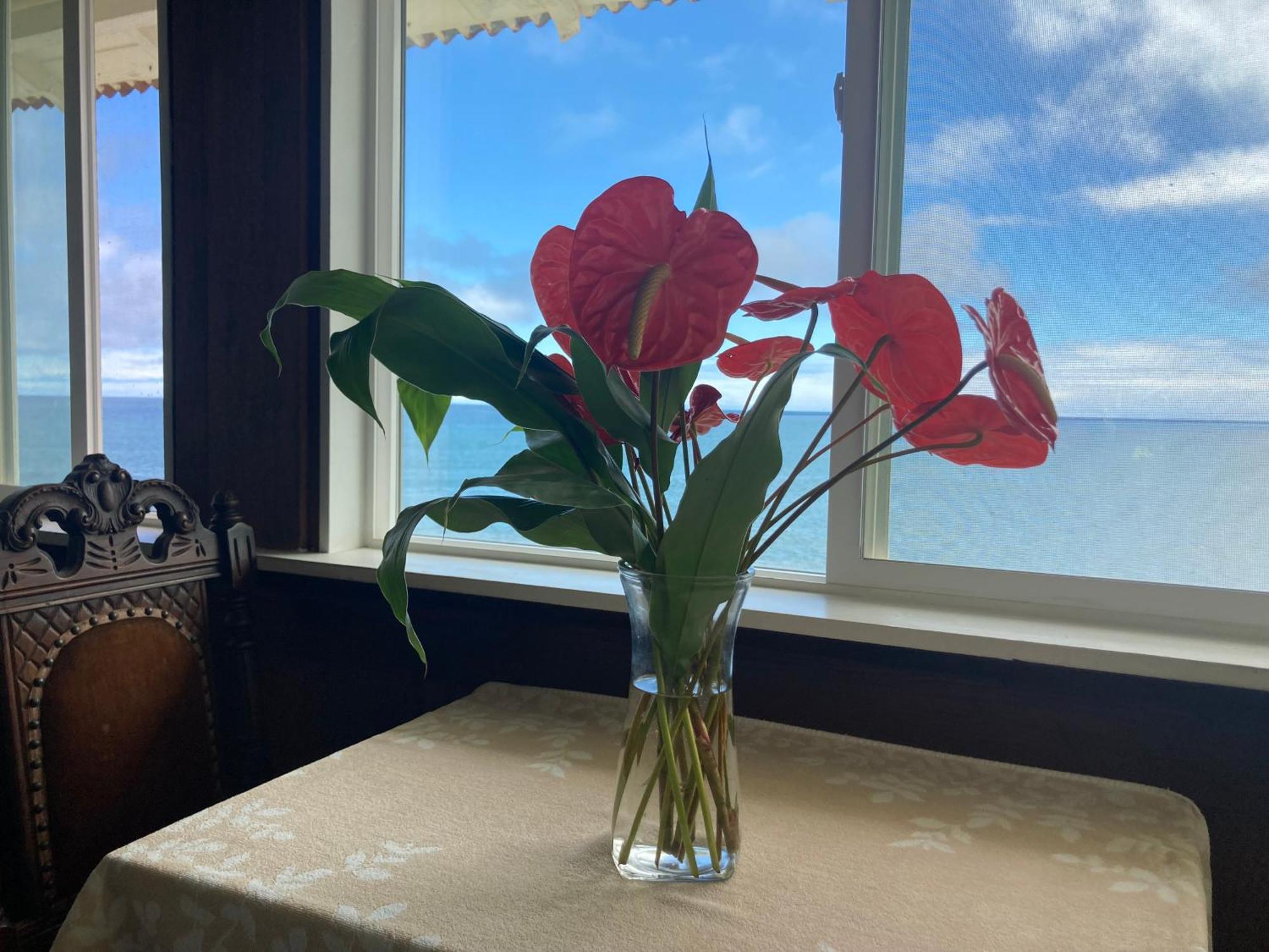 Couette-café Bay Oceanfront